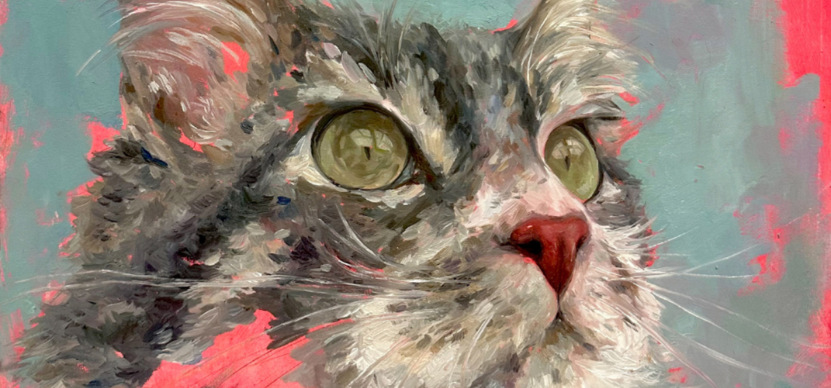 A grey cats face with a light blue background with pink dotted throughout