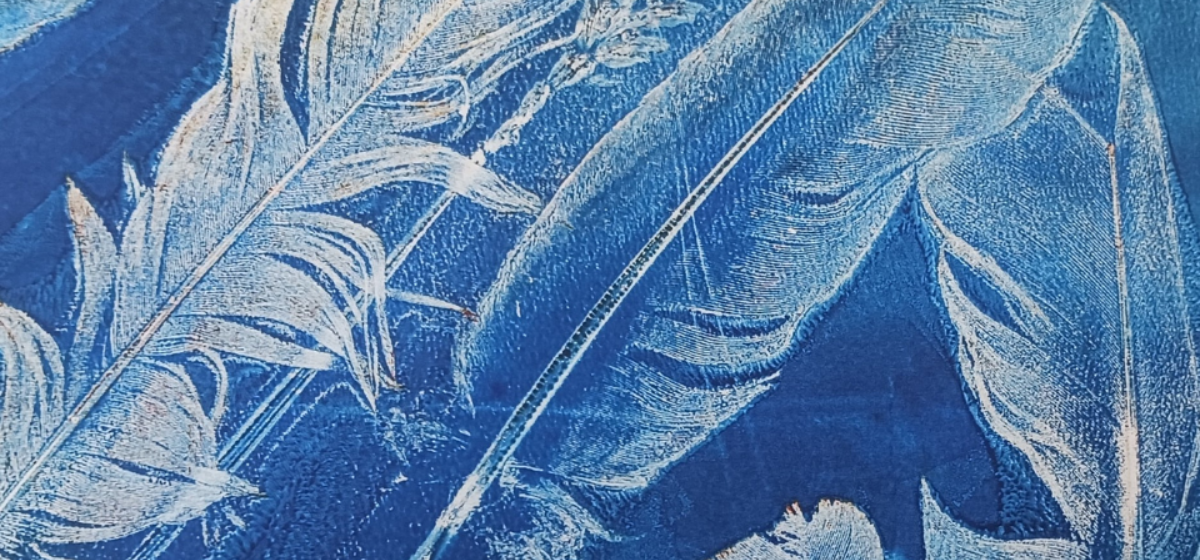 white printed Feathers on a blue background