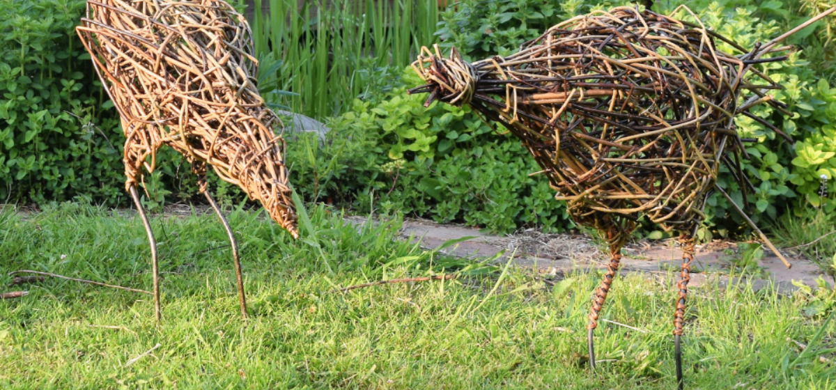 Willow chickens on green grass
