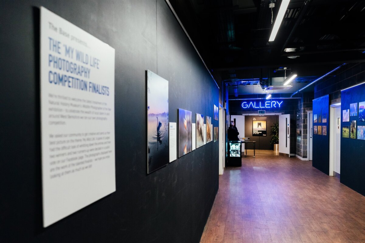 2023 Exhibition, Runway Gallery, The Base